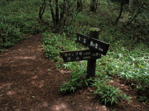 分岐点の様子