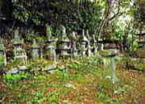 長尾氏累代の墓の写真