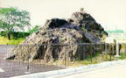 中村の浅間石の写真