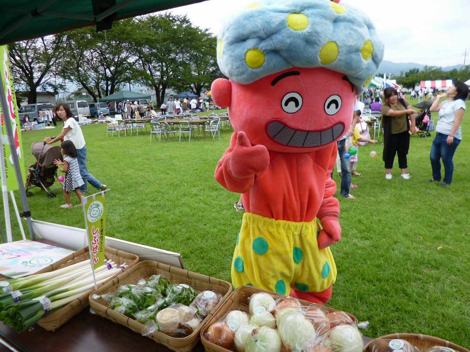 しぶせん野菜とこんちゃん2