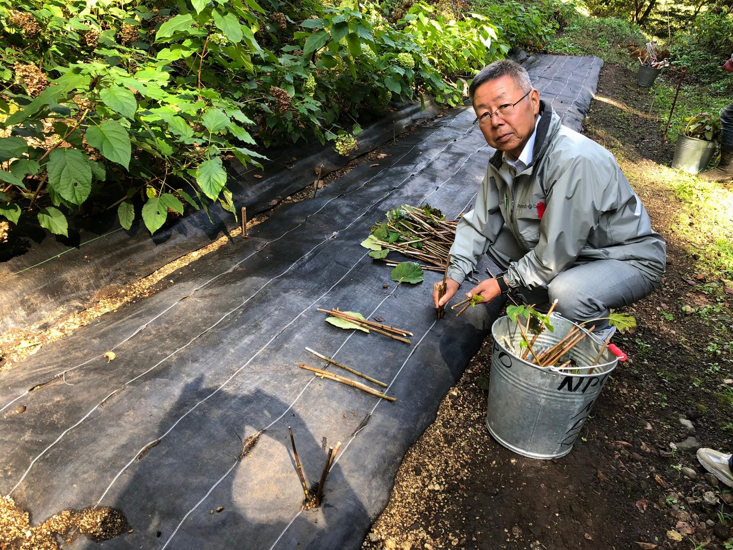 小野池の写真