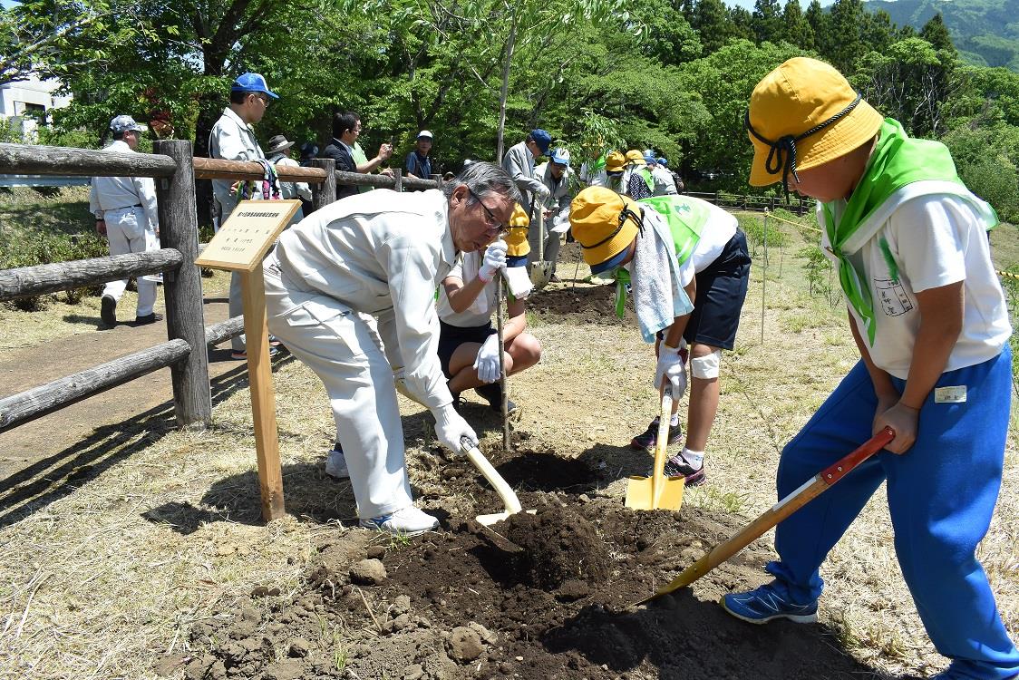 植樹祭の写真2