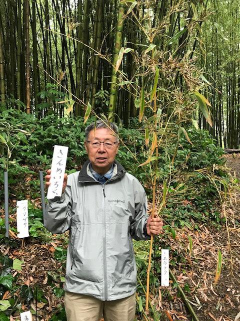 竹林公園の写真1