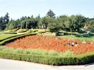 愛宕山ふるさと公園の様子