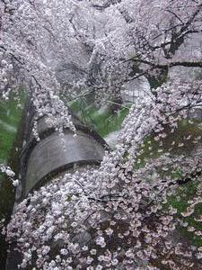 春雪＿阿部巌