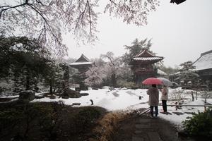 雪の庭園＿大畠繁