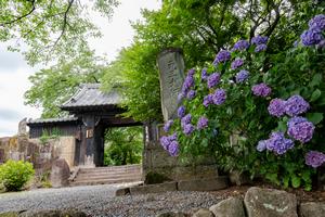 あじさい寺＿大塚喜広