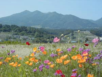 子持山登山道コースガイド 子持山登山道コースガイド
