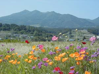 子持山登山道コースガイド