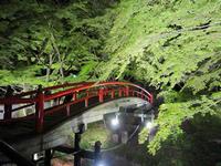 河鹿橋　新緑ライトアップ