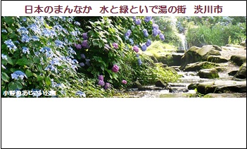 「小野池あじさい公園」観光名刺2013の画像