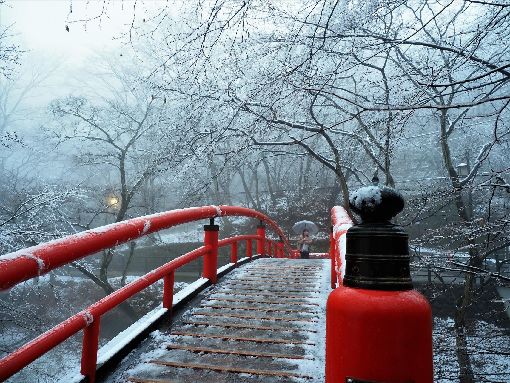 春の淡雪_天田隆義