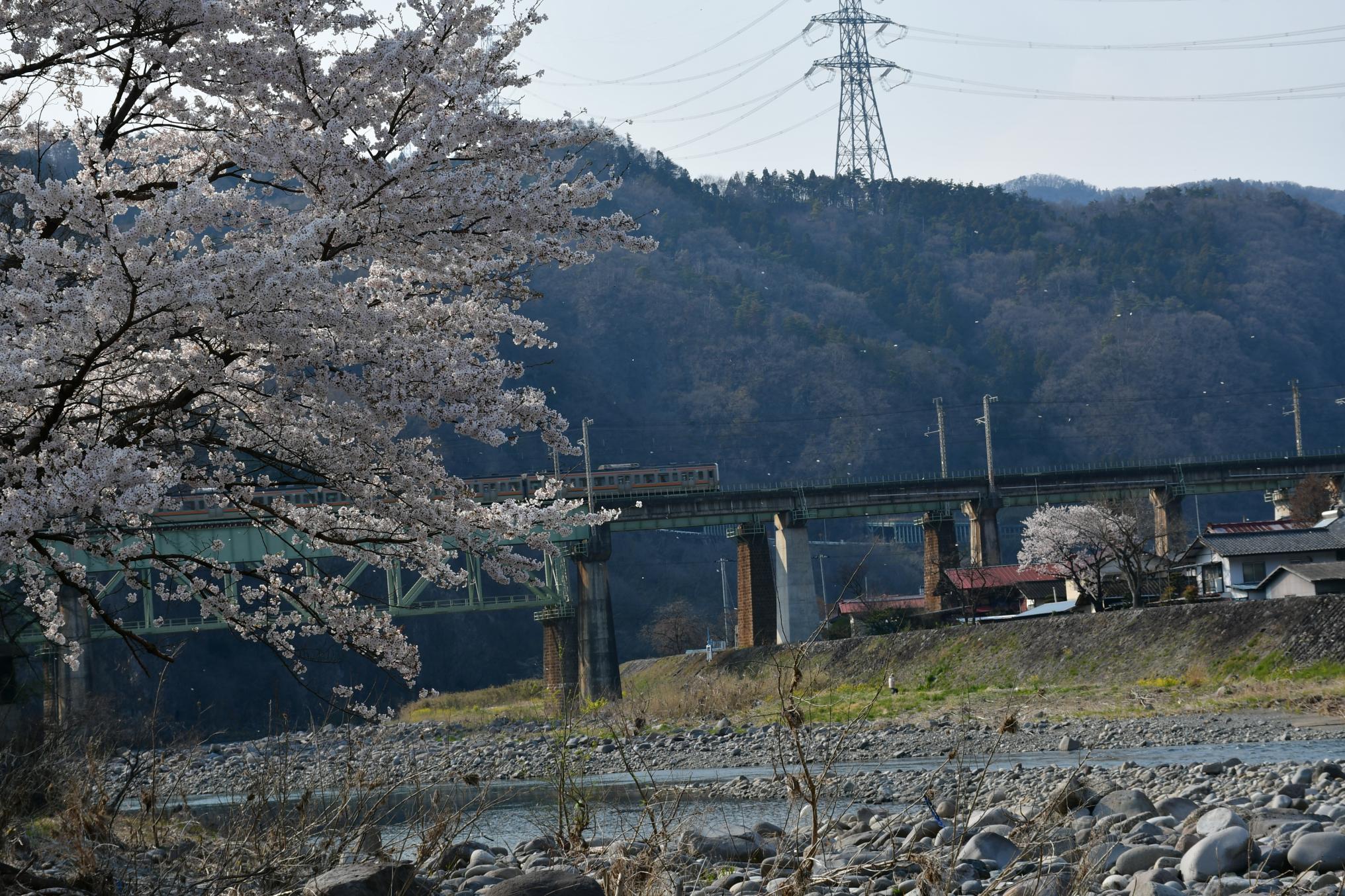 花舞う鉄橋_篠原朝夫