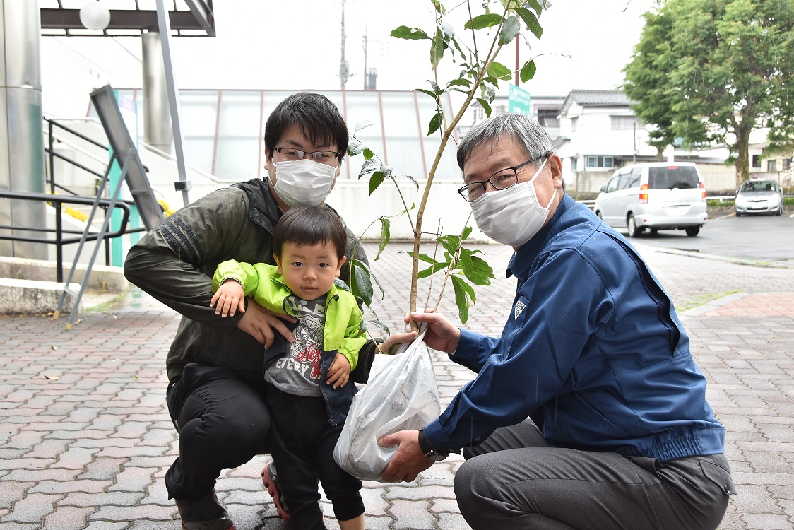 記念樹配布