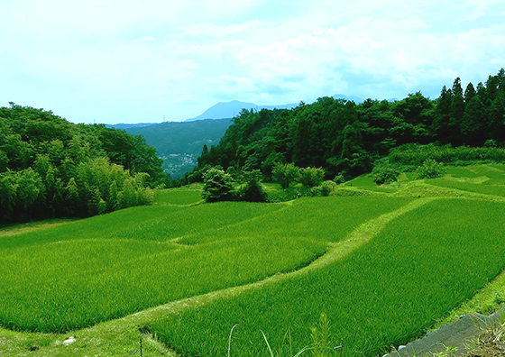 小野上エリアの写真