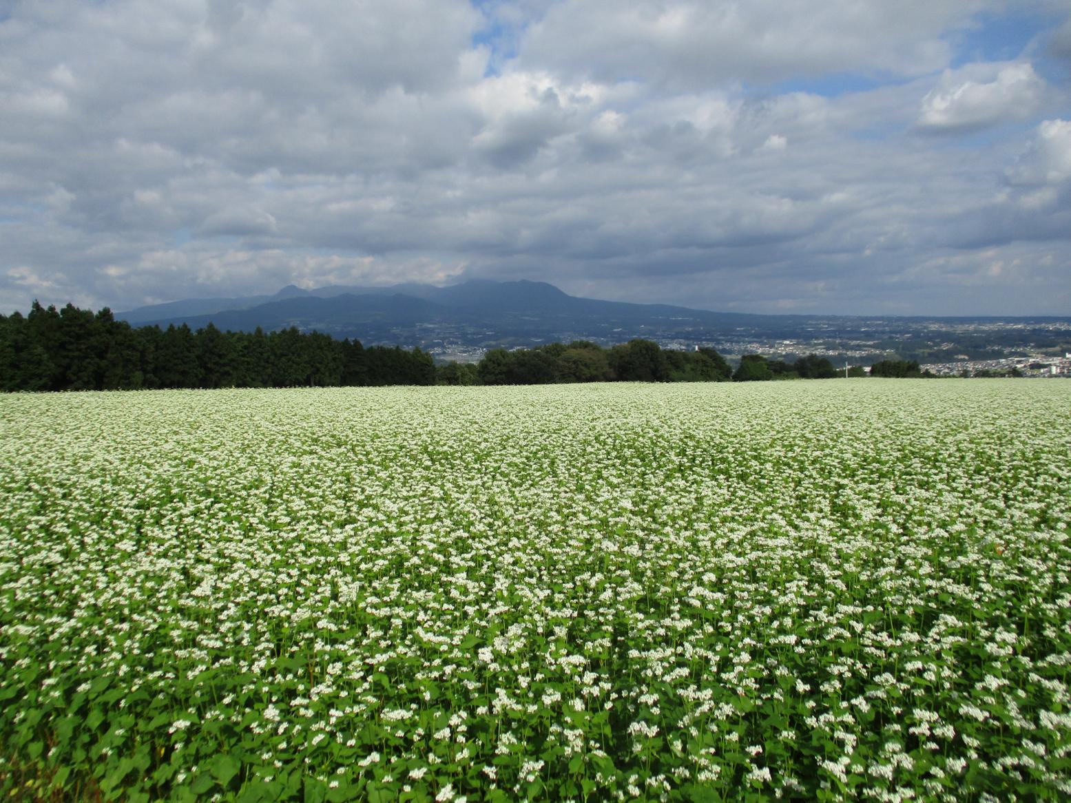 9.28遠景