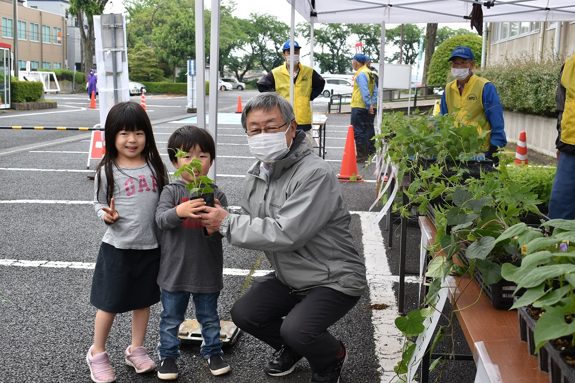 グリーンカーテン苗配布