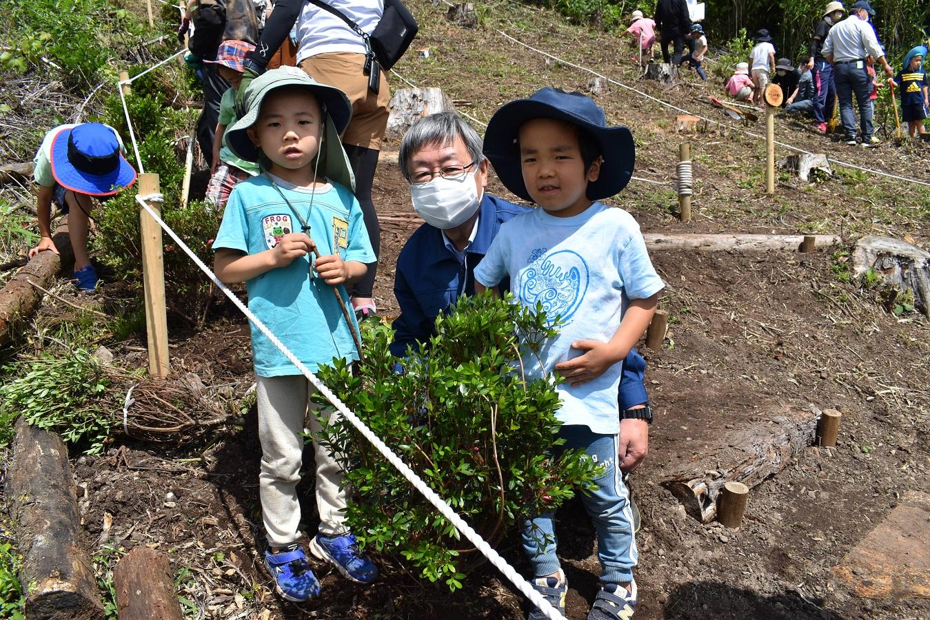 コスモス保育園未来の森づくり (1)