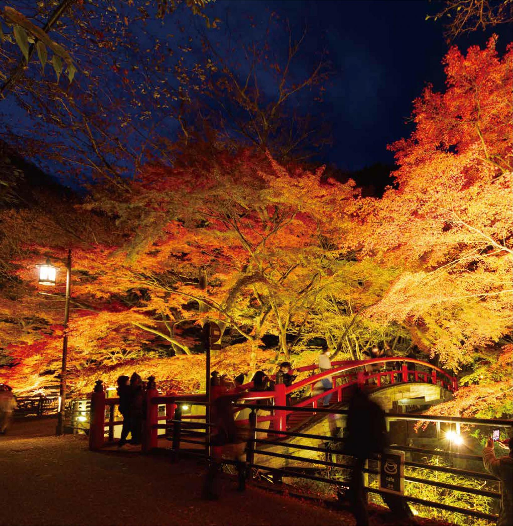 河鹿橋 紅葉ライトアップ 河鹿橋 紅葉ライトアップ