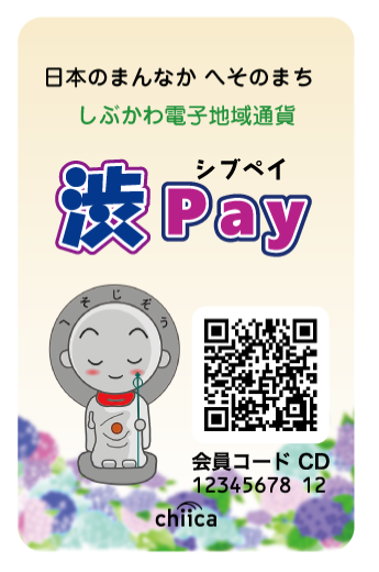 渋Pay専用カード