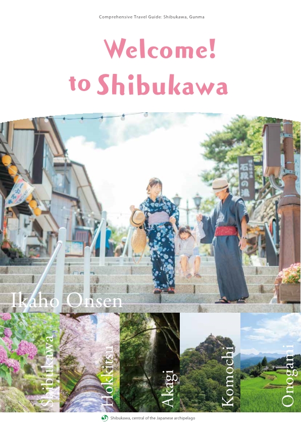 Welcome to shibukawa
