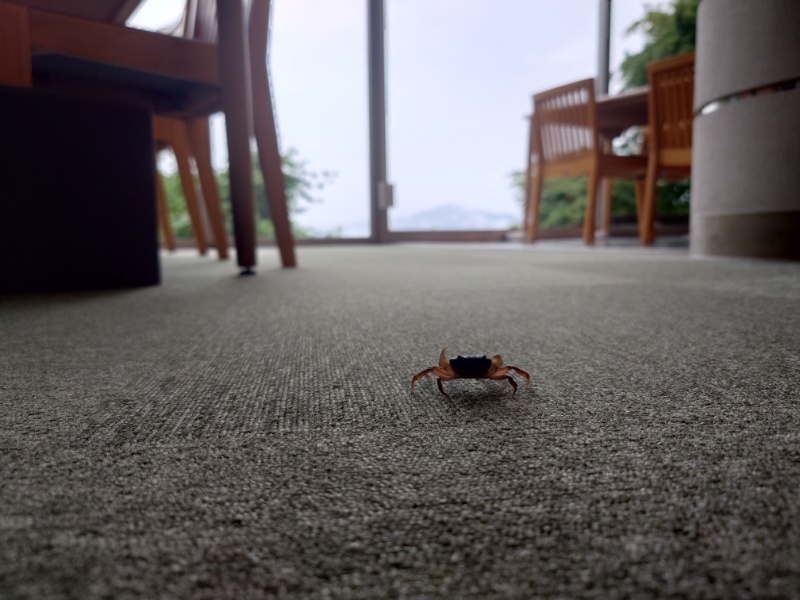 6.2_1