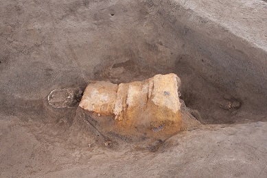 金井遺跡群の出土品が国の重要文化財に指定されます