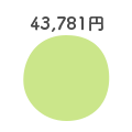 43,781円 43,781円