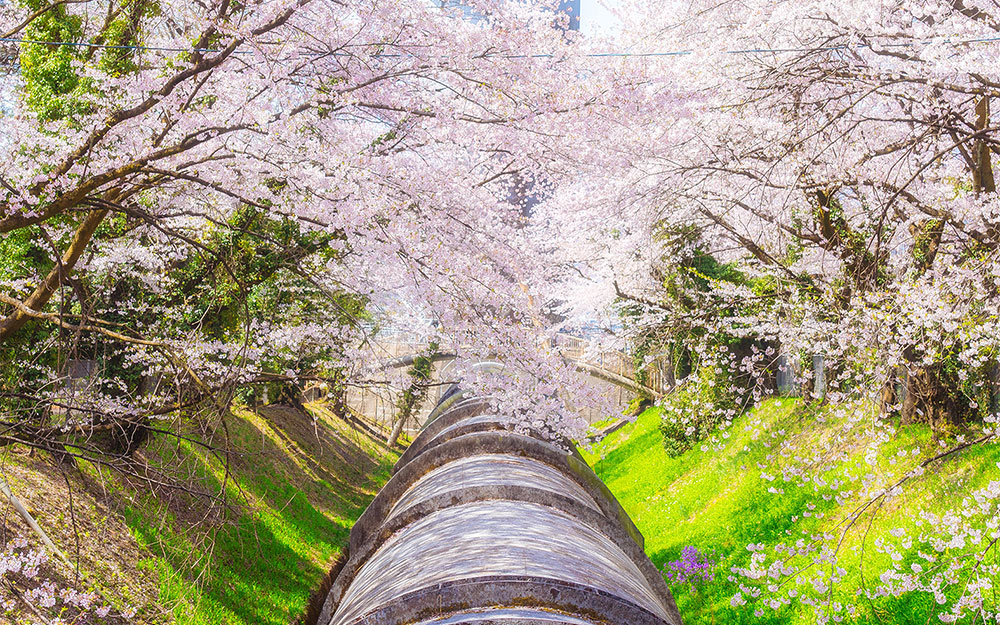 佐久発電所の写真