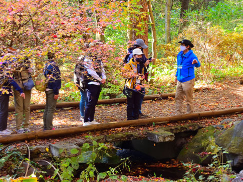 赤城自然園の写真2