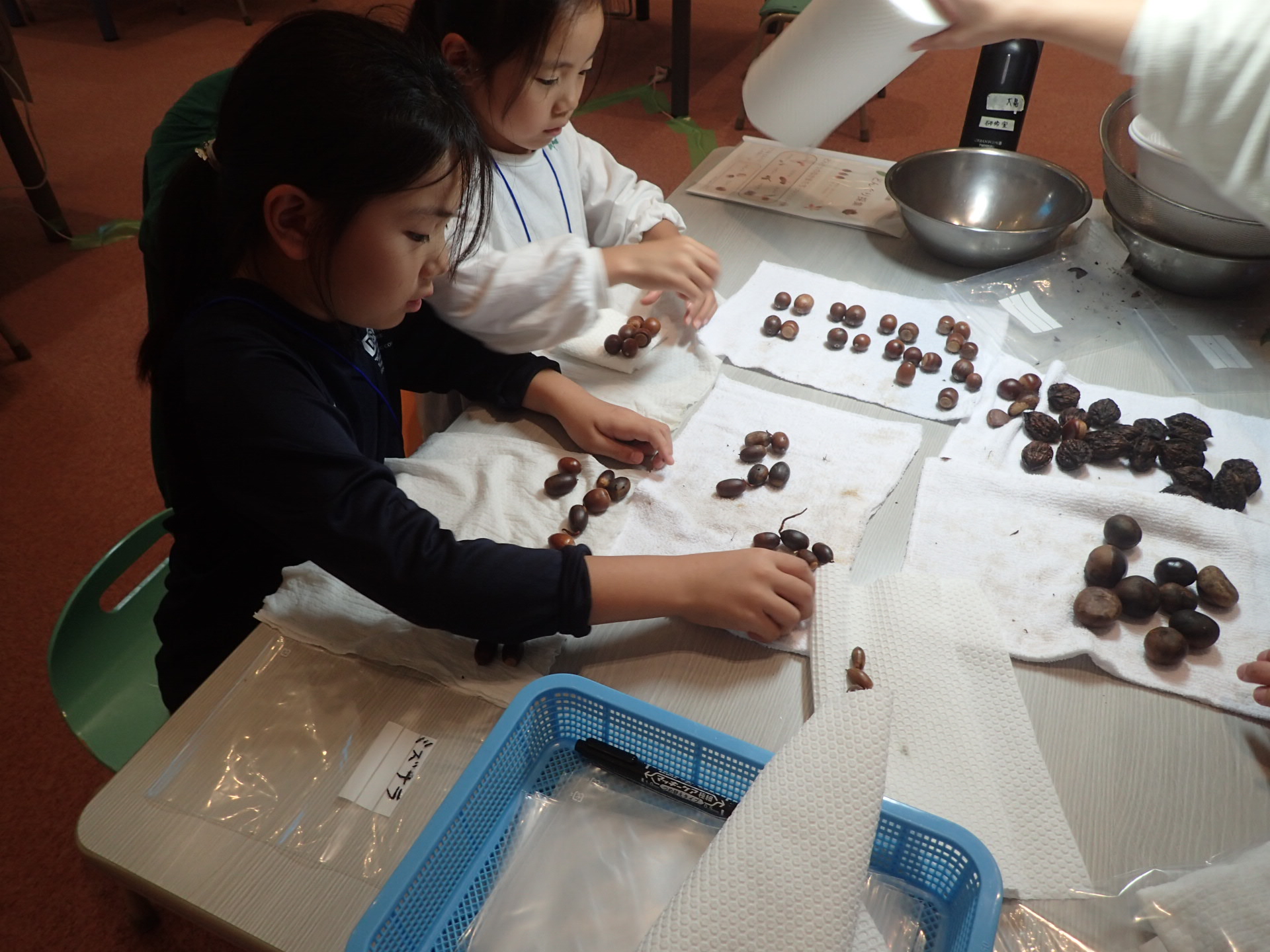 10.13РeОqВВёВоВшСIХ