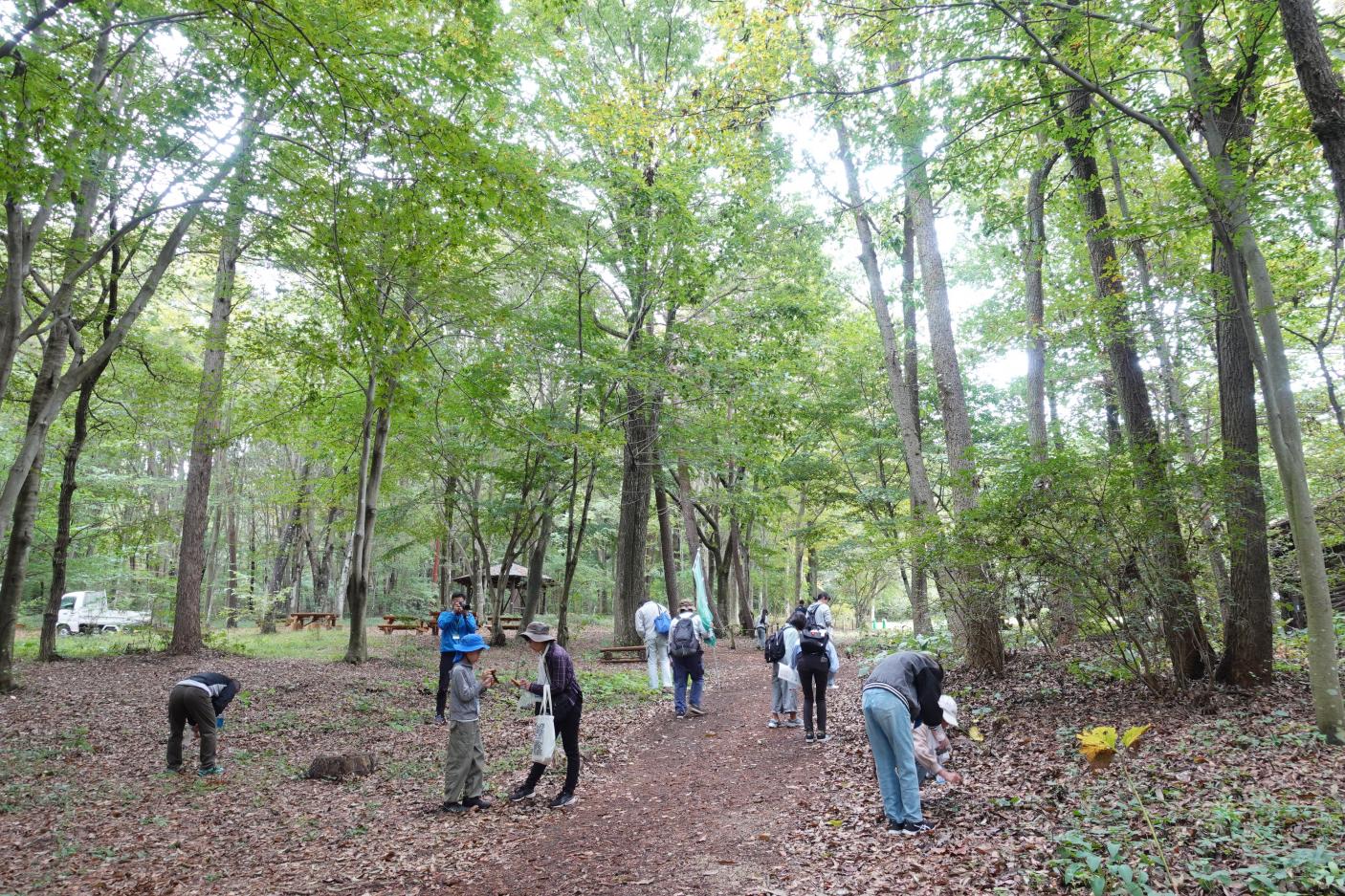 691ea22e4ef34.jpg 691ea22e4ef34.jpg