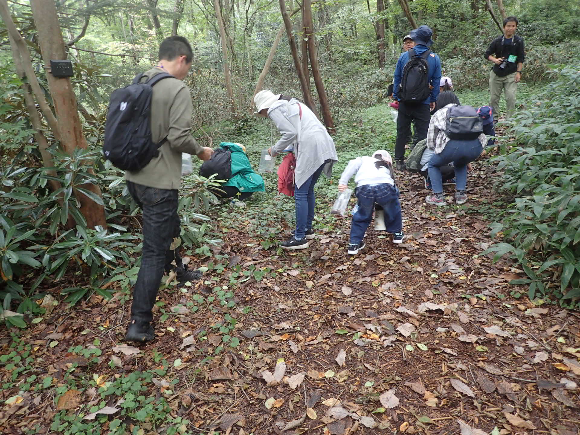 691e9beef2594.jpg 691e9beef2594.jpg