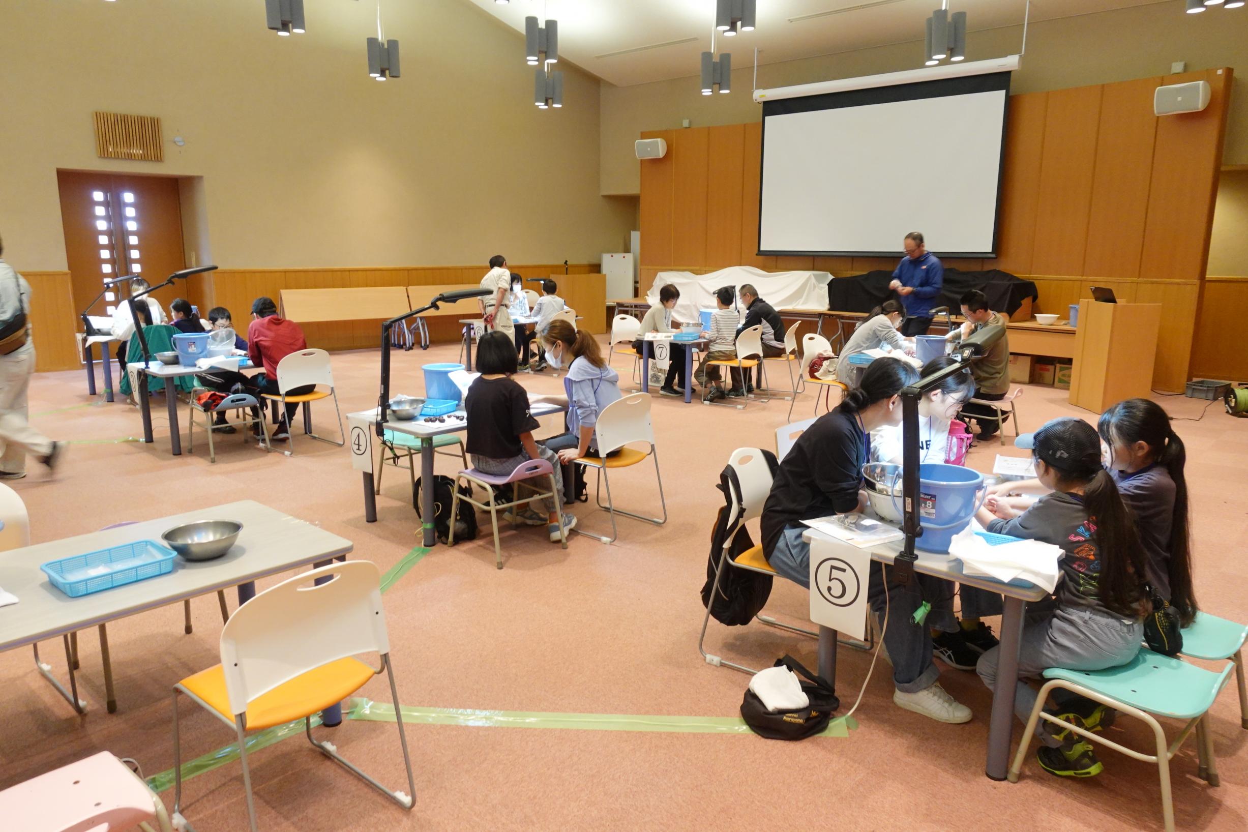 691e9d3e4c8ab.jpg 691e9d3e4c8ab.jpg