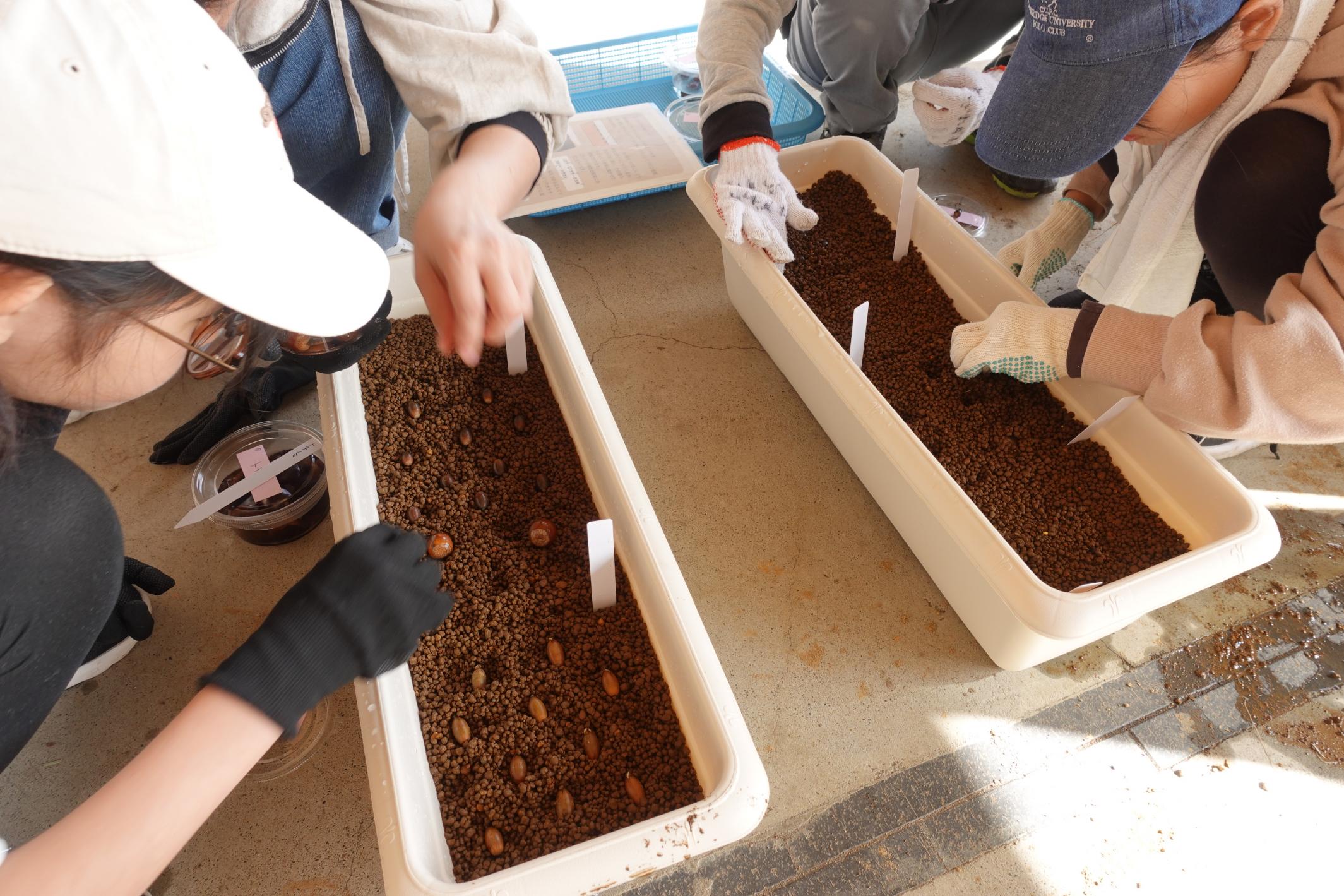 691eca4b7bc31.jpg 691eca4b7bc31.jpg