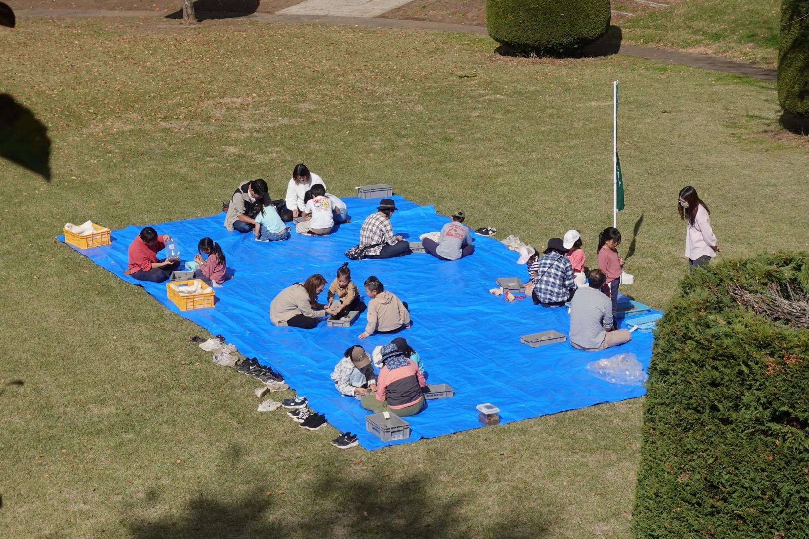 691ed382ab145.jpg 691ed382ab145.jpg