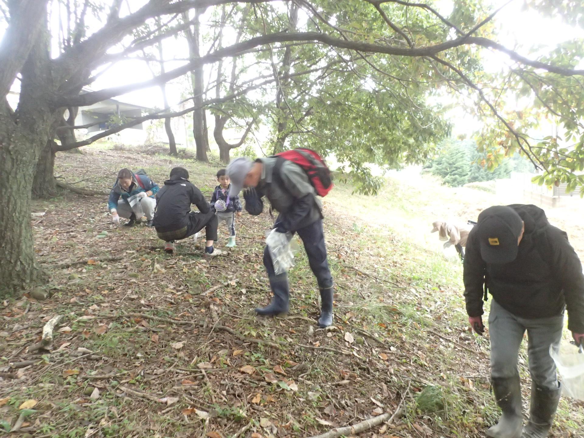 691fc6b521d92.jpg 691fc6b521d92.jpg