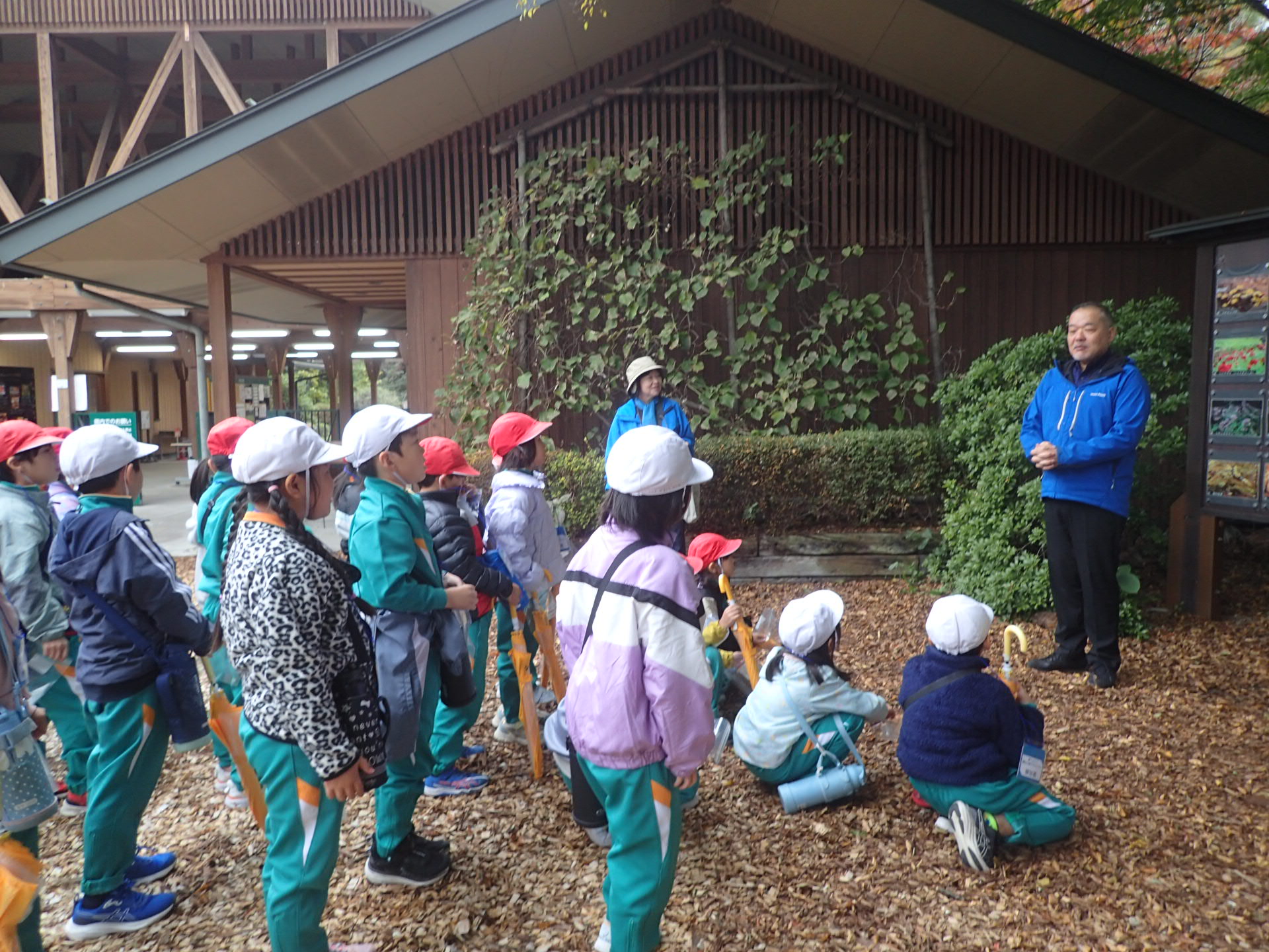 691fef34ed2bc.jpg 691fef34ed2bc.jpg