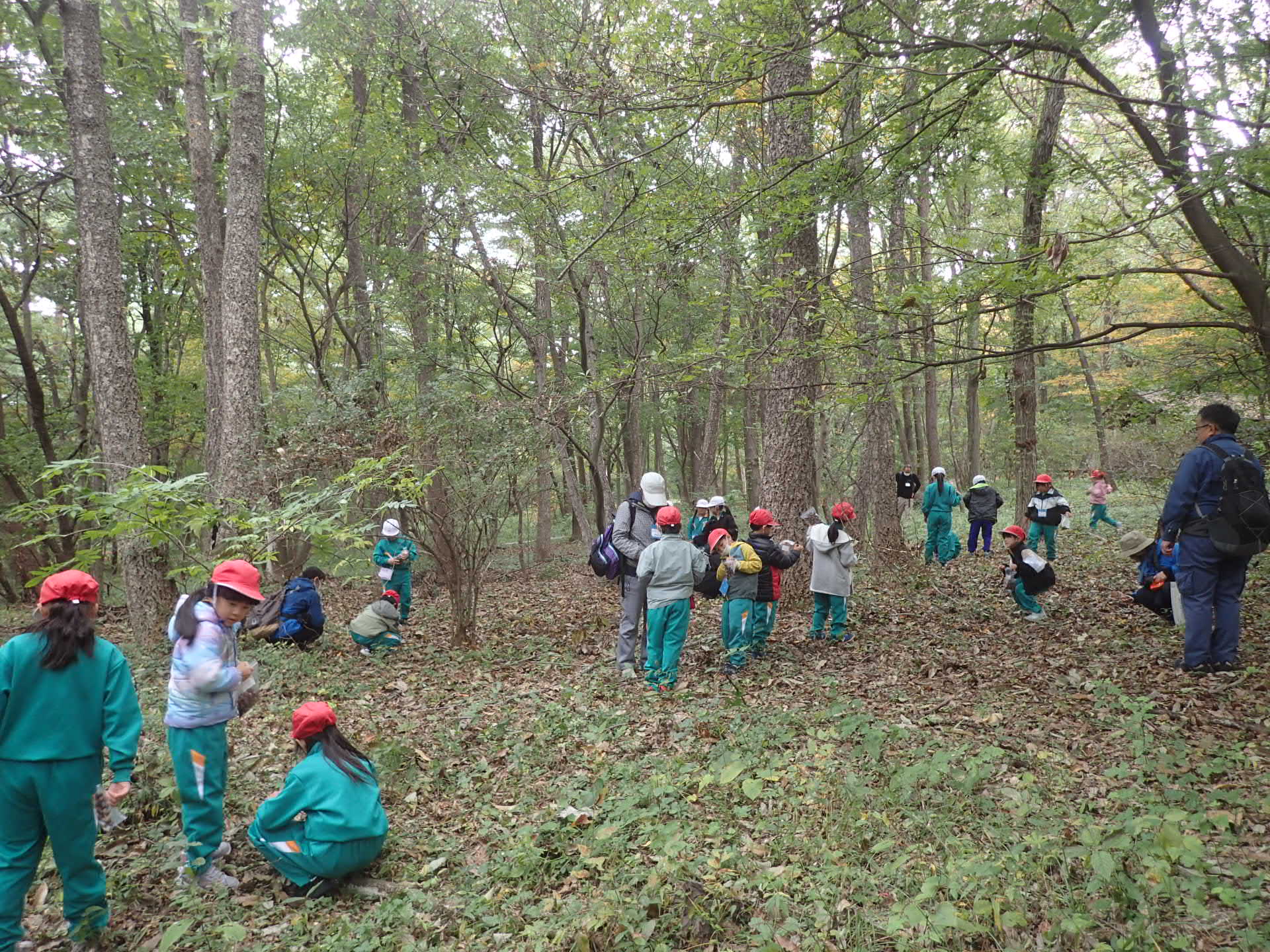 691fef844182e.jpg 691fef844182e.jpg