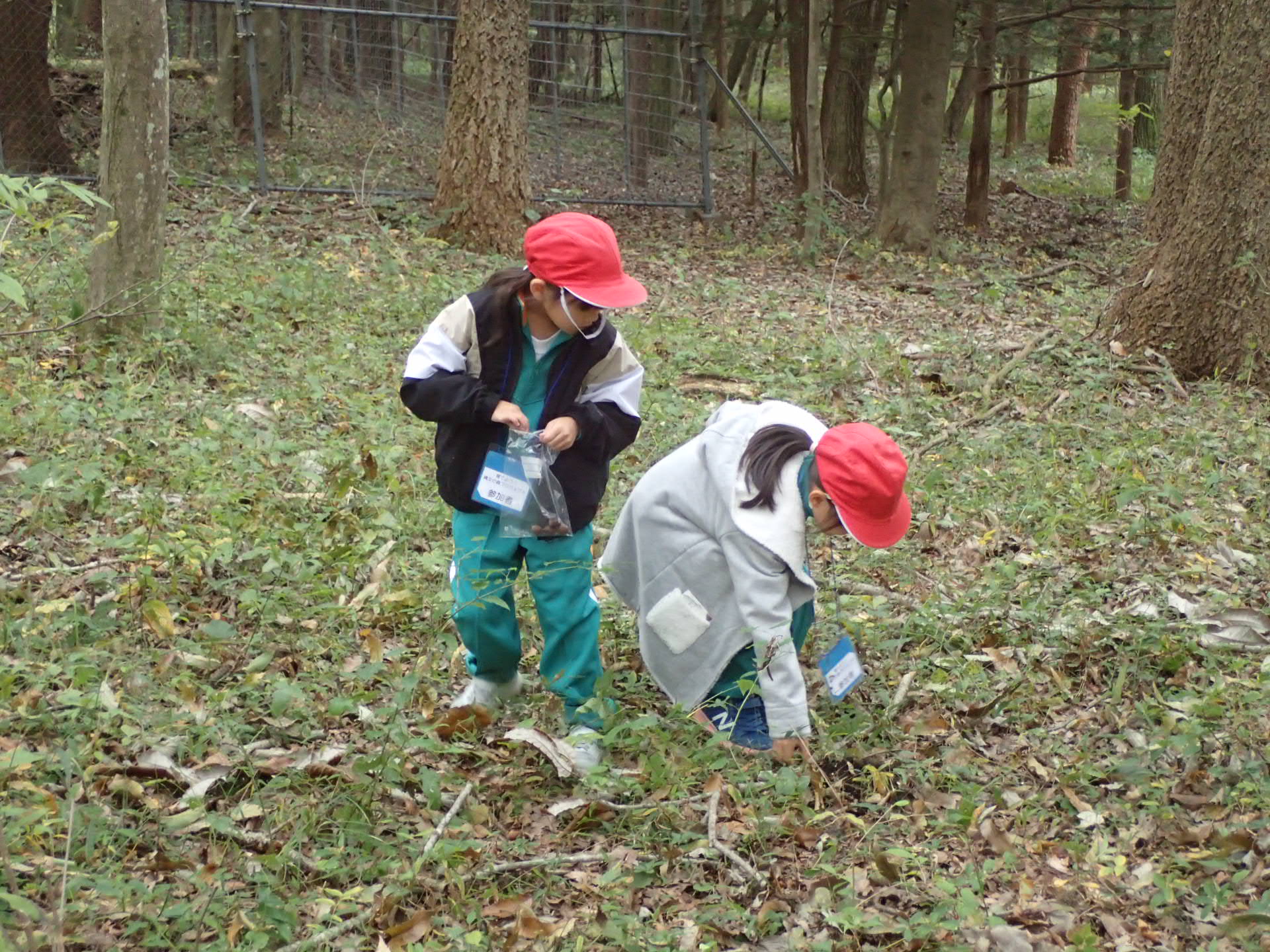 691fef9d71b16.jpg 691fef9d71b16.jpg