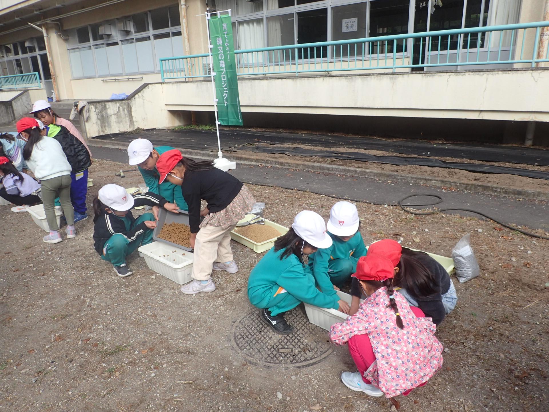 691ff0d2c964c.jpg 691ff0d2c964c.jpg