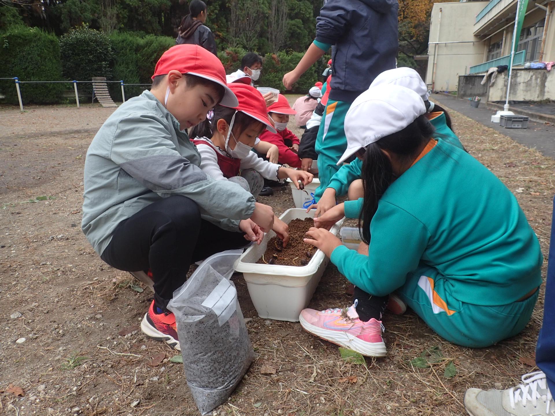 691ff117bb46a.jpg 691ff117bb46a.jpg