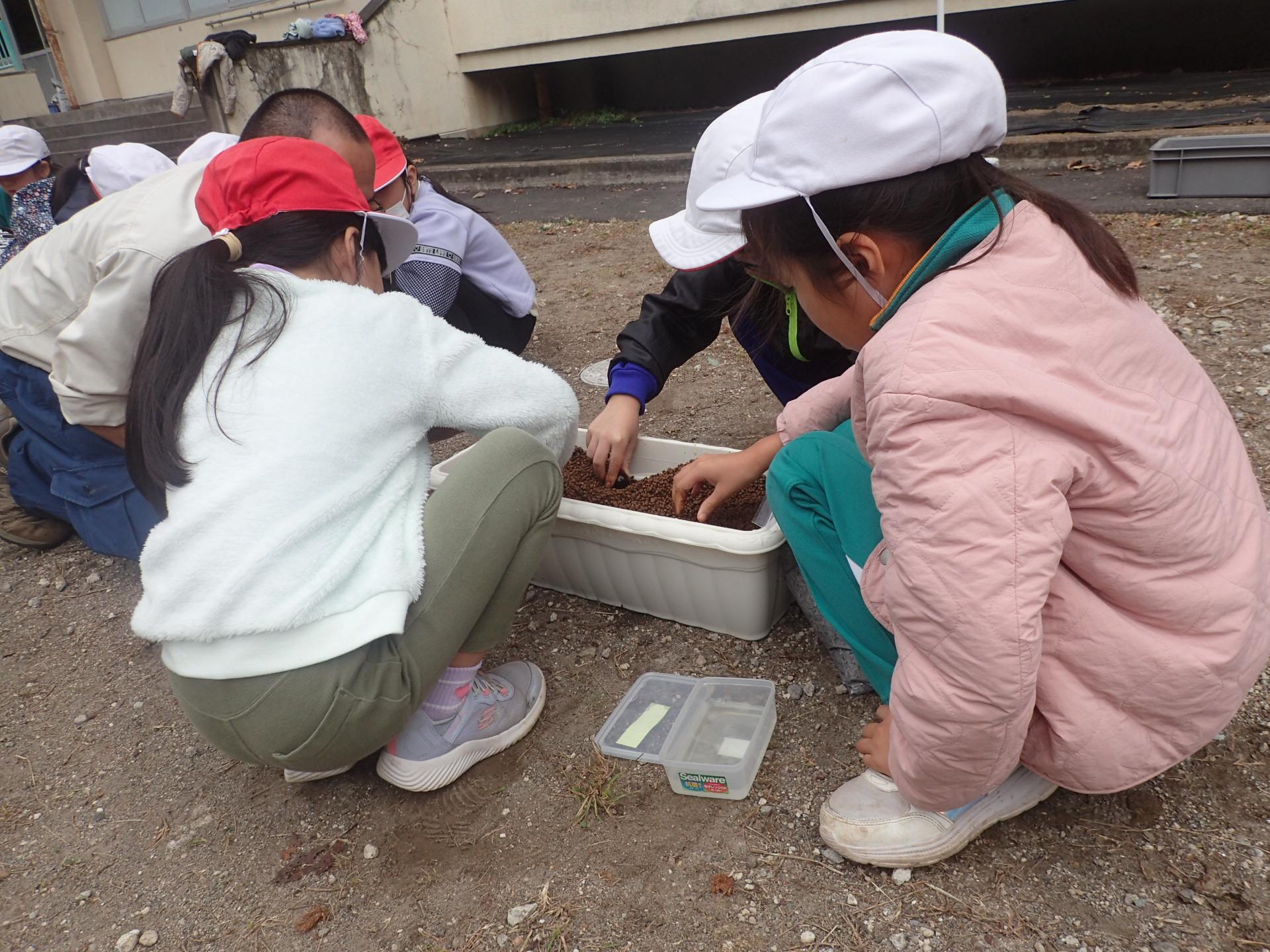 691ff0781d043.jpg 691ff0781d043.jpg