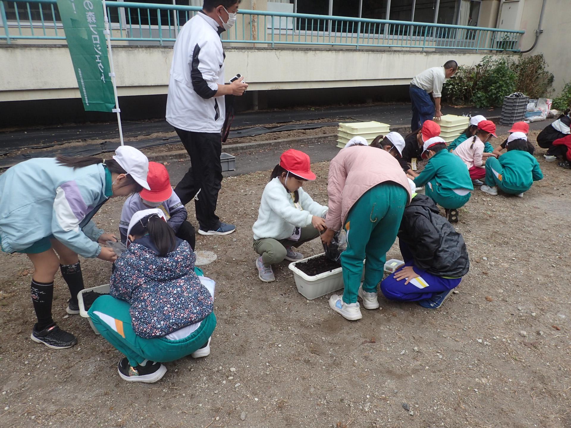 691ff097c32a0.jpg 691ff097c32a0.jpg