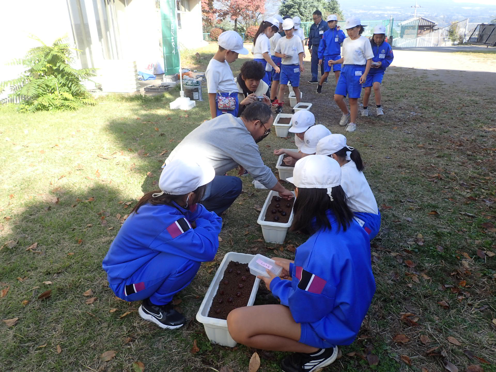 691ff1f0bbb05.jpg 691ff1f0bbb05.jpg