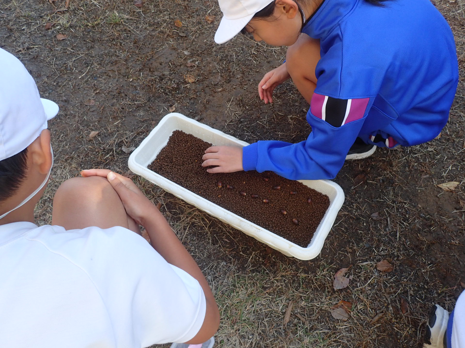 691ff2324d281.jpg 691ff2324d281.jpg