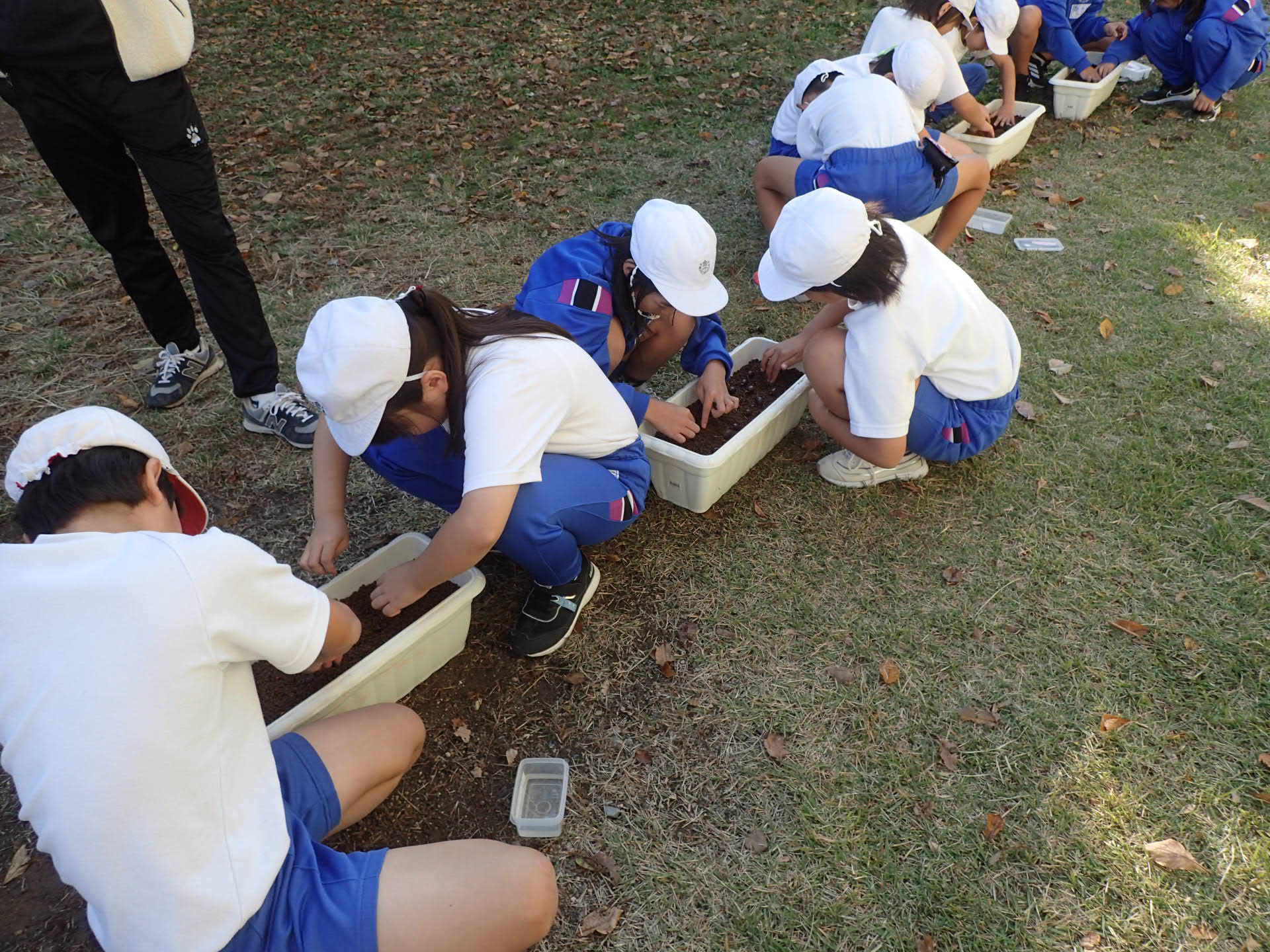 691ff25415308.jpg 691ff25415308.jpg