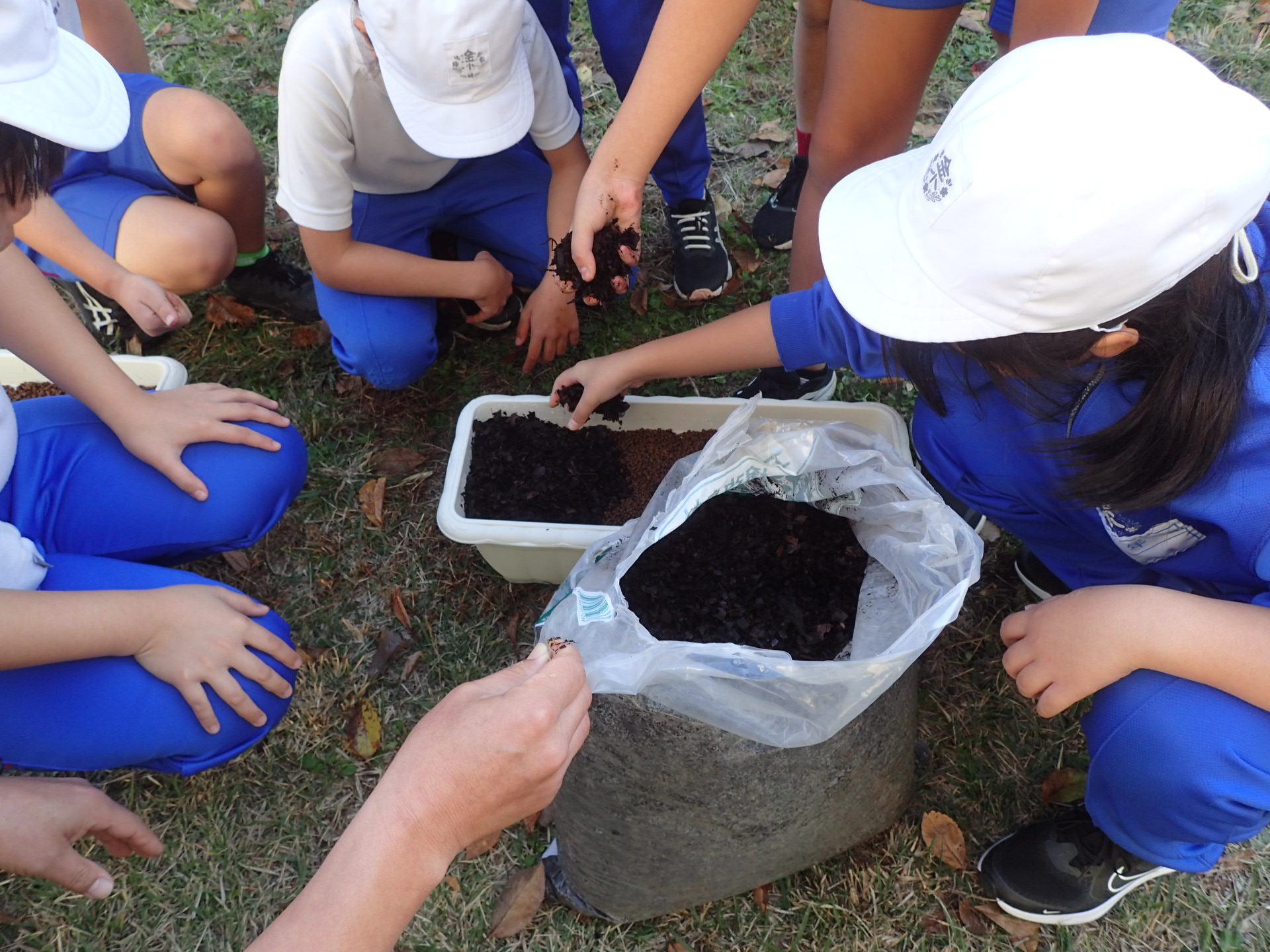 691ff26f48063.jpg 691ff26f48063.jpg