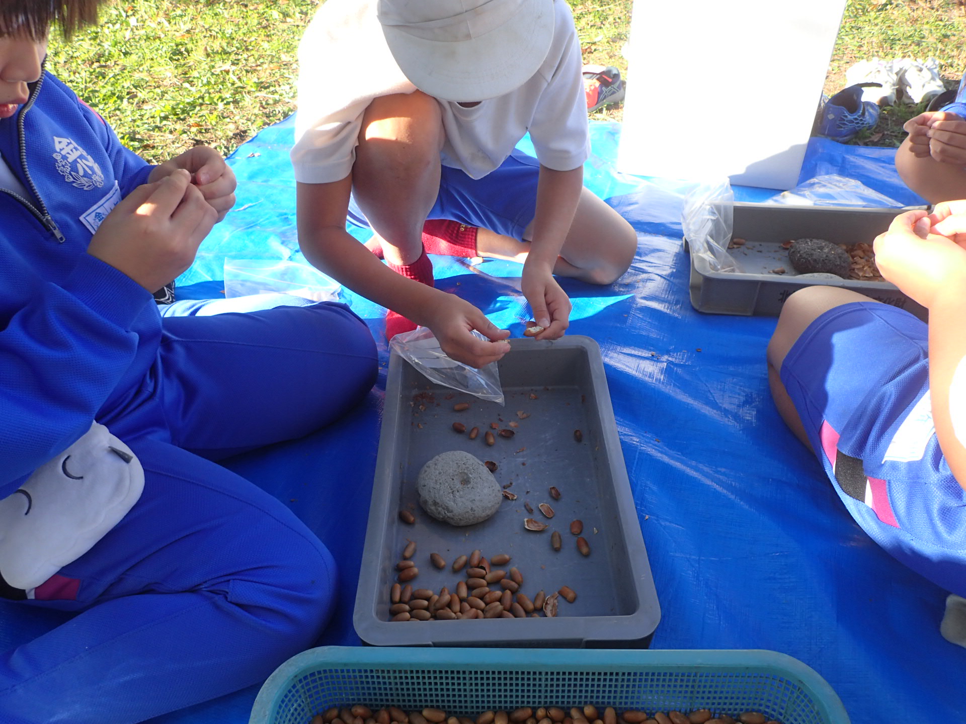 69252fbf50633.jpg 69252fbf50633.jpg