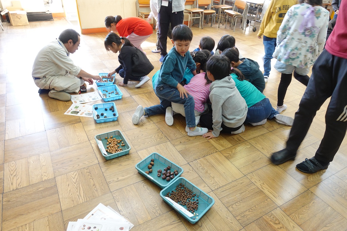 691ff37b125d3.jpg 691ff37b125d3.jpg